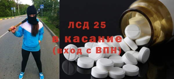 ГАЛЛЮЦИНОГЕННЫЕ ГРИБЫ Каменка