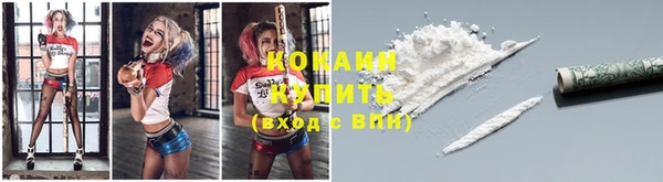 ГАЛЛЮЦИНОГЕННЫЕ ГРИБЫ Каменка