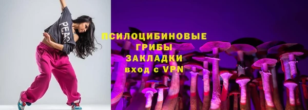 ГАЛЛЮЦИНОГЕННЫЕ ГРИБЫ Каменка