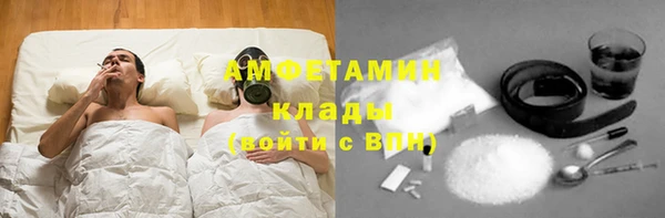 ГАЛЛЮЦИНОГЕННЫЕ ГРИБЫ Каменка