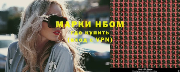 ГАЛЛЮЦИНОГЕННЫЕ ГРИБЫ Каменка