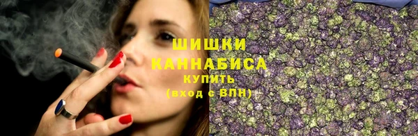 ГАЛЛЮЦИНОГЕННЫЕ ГРИБЫ Каменка