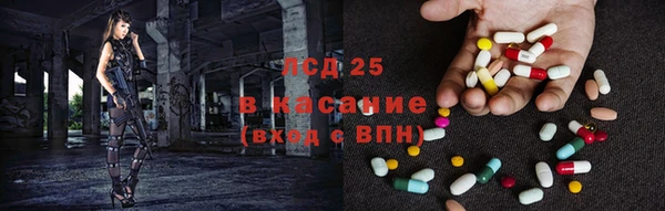 ГАЛЛЮЦИНОГЕННЫЕ ГРИБЫ Каменка