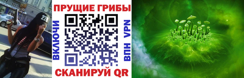 Купить закладки  Бахчисарай  Псилоцибиновые грибы Psilocybe 